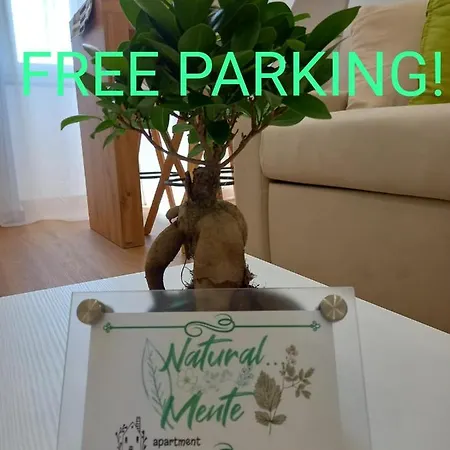 Natural Mente * 庞贝